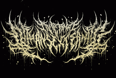 logo Internal Organs External